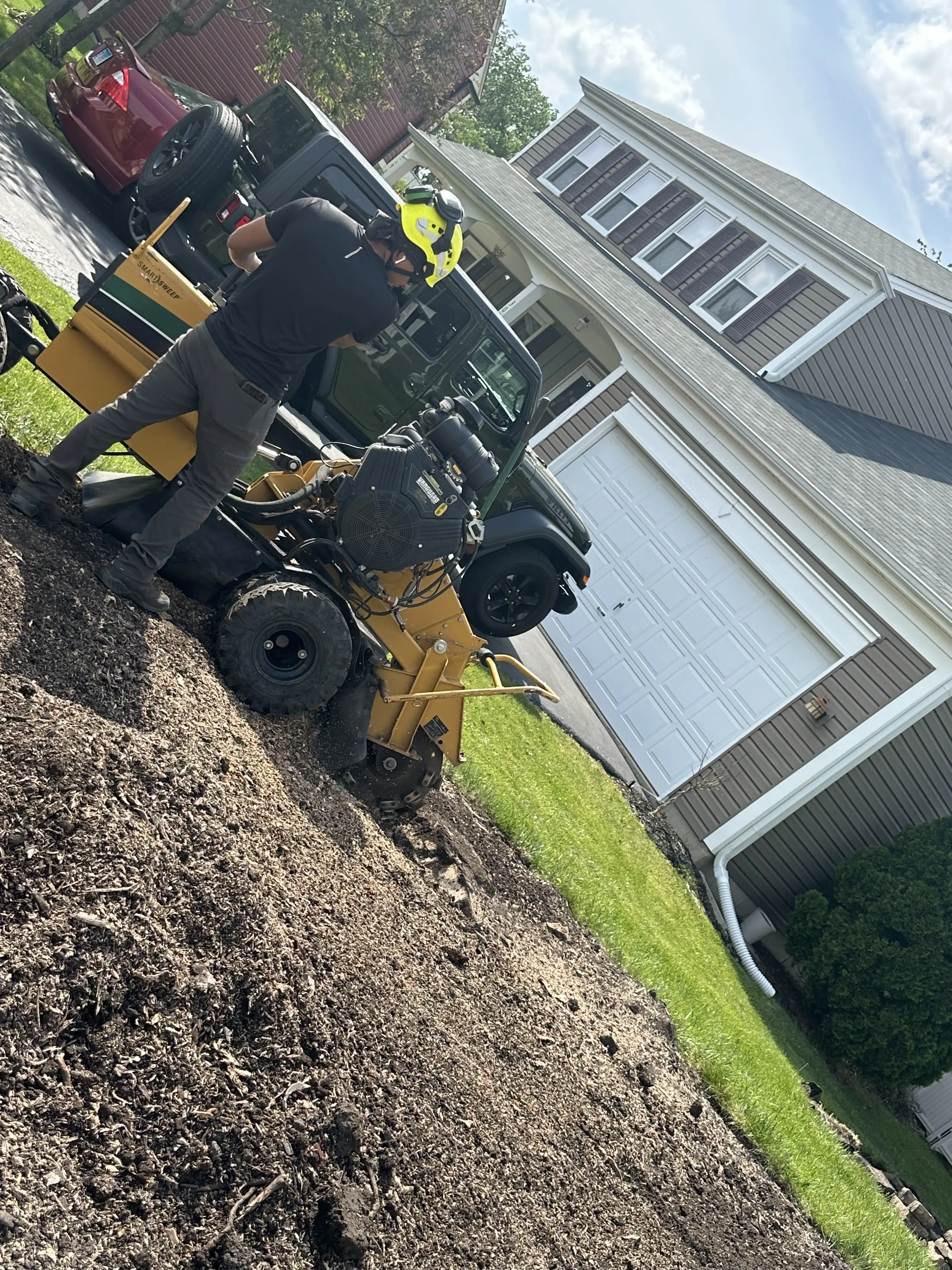 stump removal